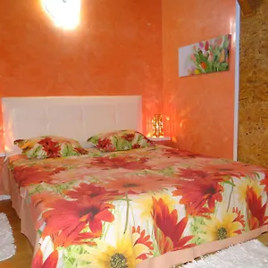 Orange Flower Appartamento